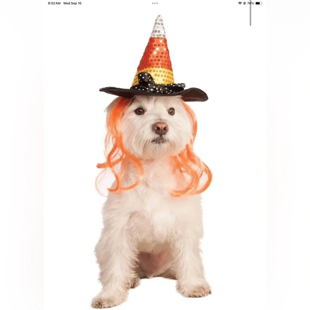 Rubie's Pet Shop Candy Corn and Witch Hat with neon color hair NEW